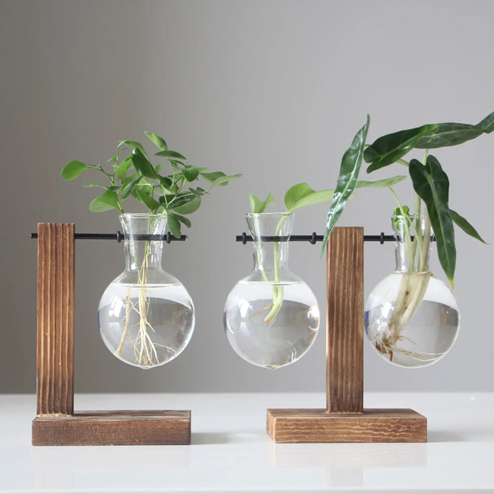 Plant Terrarium with Wooden Stand Hydroponic Planter Bulb Glass Bonsai Flower Pot for Indoor Office Desk Decor Accessories