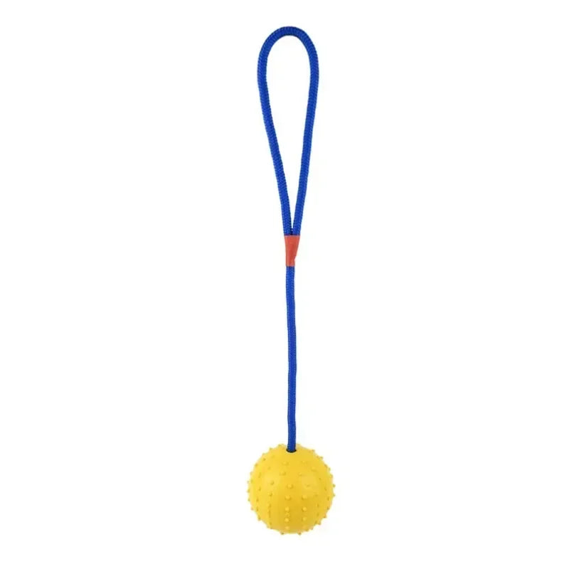 Rubber Interactive Dog Training Toy Fetch Ball With Rope For Pets