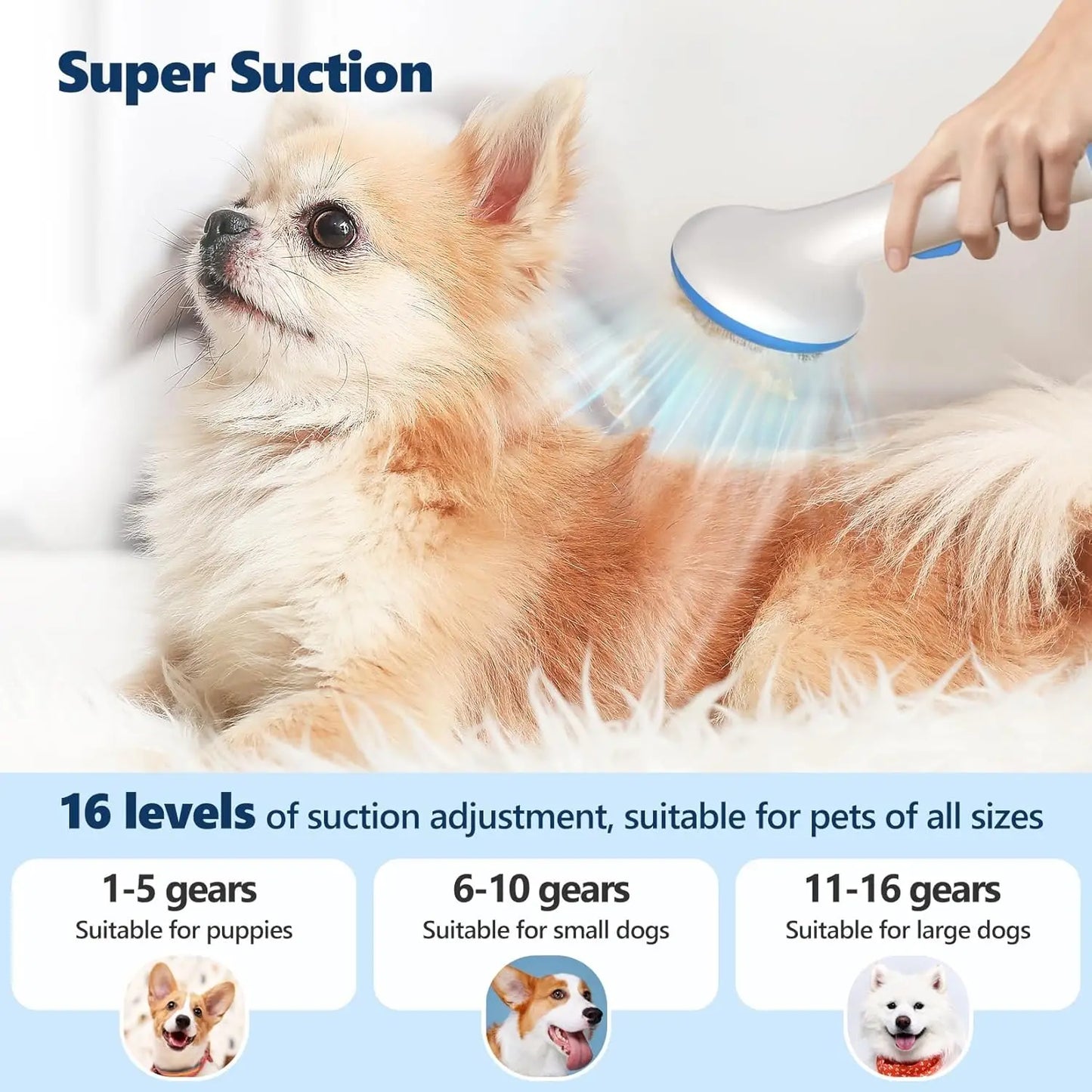 Pet Grooming Vacuum Kit 5 in 1 High Power Grooming Kit with 2.0L Dust Cup for Shedding Dogs and Cats Low Noise Hair Remover