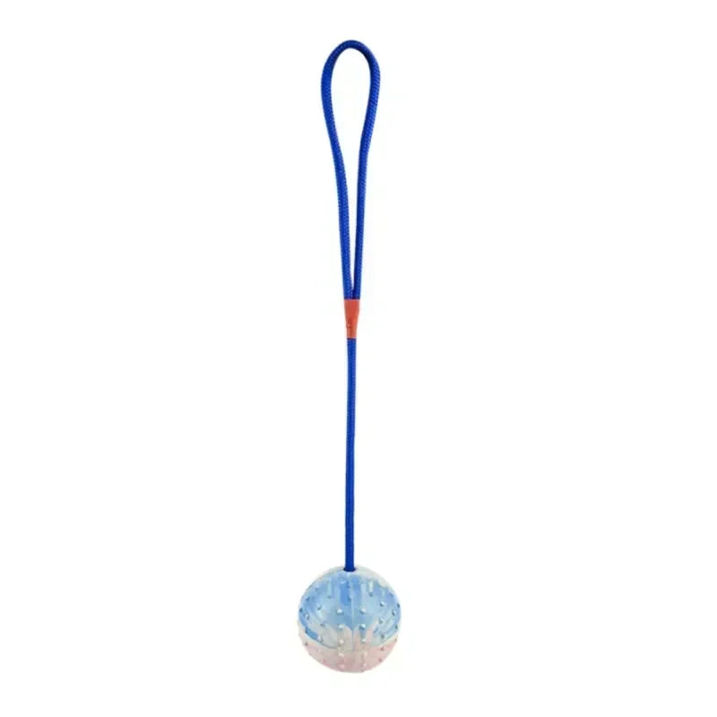 Rubber Interactive Training Toy for Dogs Pet Reward Fetch Play Ball with Rope