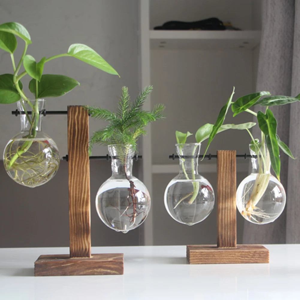 Plant Terrarium with Wooden Stand Hydroponic Planter Bulb Glass Bonsai Flower Pot for Indoor Office Desk Decor Accessories