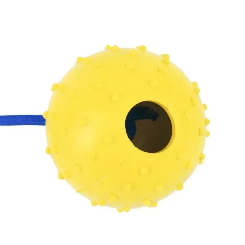 Rubber Interactive Dog Training Toy Fetch Ball With Rope For Pets