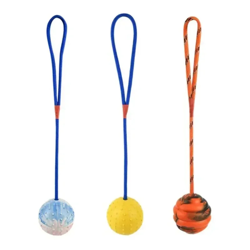 Rubber Interactive Dog Training Toy Fetch Ball With Rope For Pets