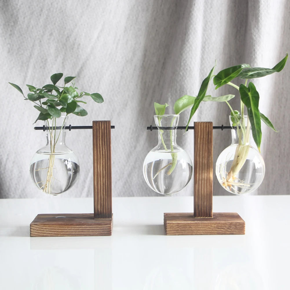 Plant Terrarium with Wooden Stand Hydroponic Planter Bulb Glass Bonsai Flower Pot for Indoor Office Desk Decor Accessories