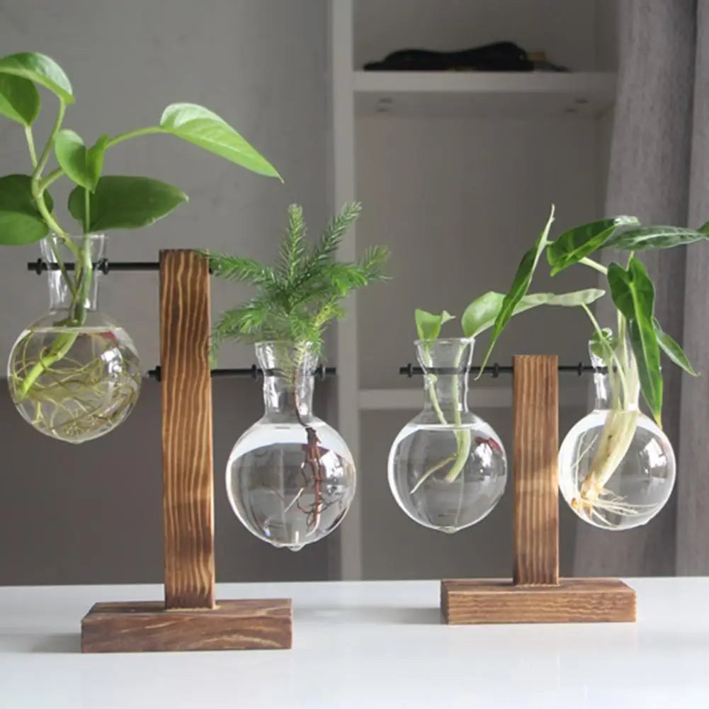 Plant Terrarium with Wooden Stand Hydroponic Planter Bulb Glass Bonsai Flower Pot for Indoor Office Desk Decor Accessories