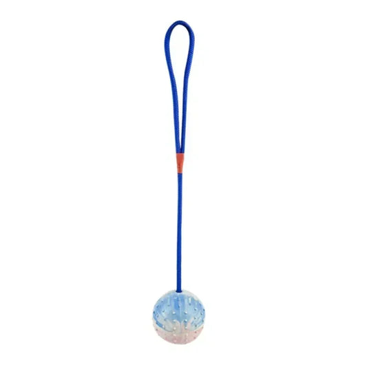 Rubber Interactive Dog Training Toy Fetch Ball With Rope For Pets